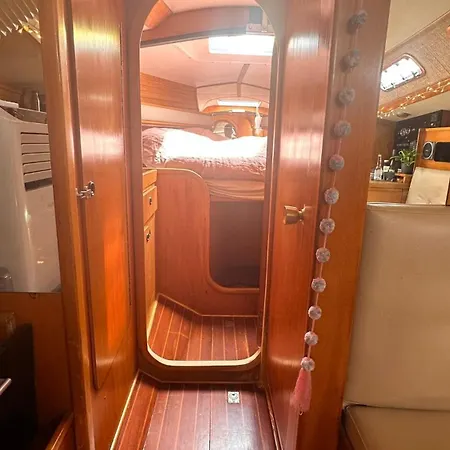 Velero Draco * 시체스